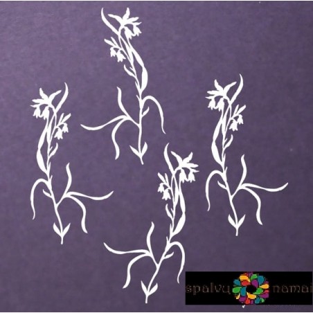 Kartoninė formelė "Summer Dream - bordery " 4 vnt