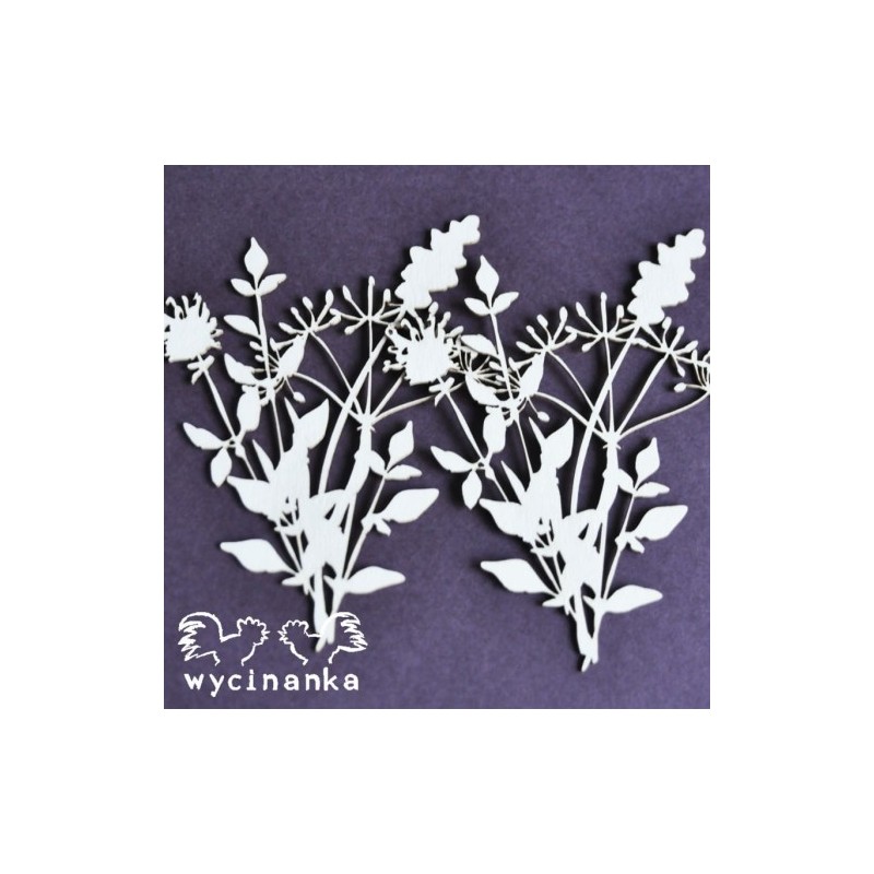 Kartoninė formelė "Gėlės ir žolynai" nr. 15