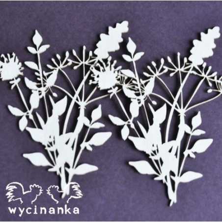 Kartoninė formelė "Gėlės ir žolynai" nr. 15