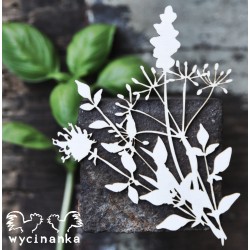 Kartoninė formelė "Gėlės ir žolynai" nr. 15