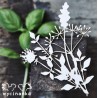 Kartoninė formelė "Gėlės ir žolynai" nr. 15