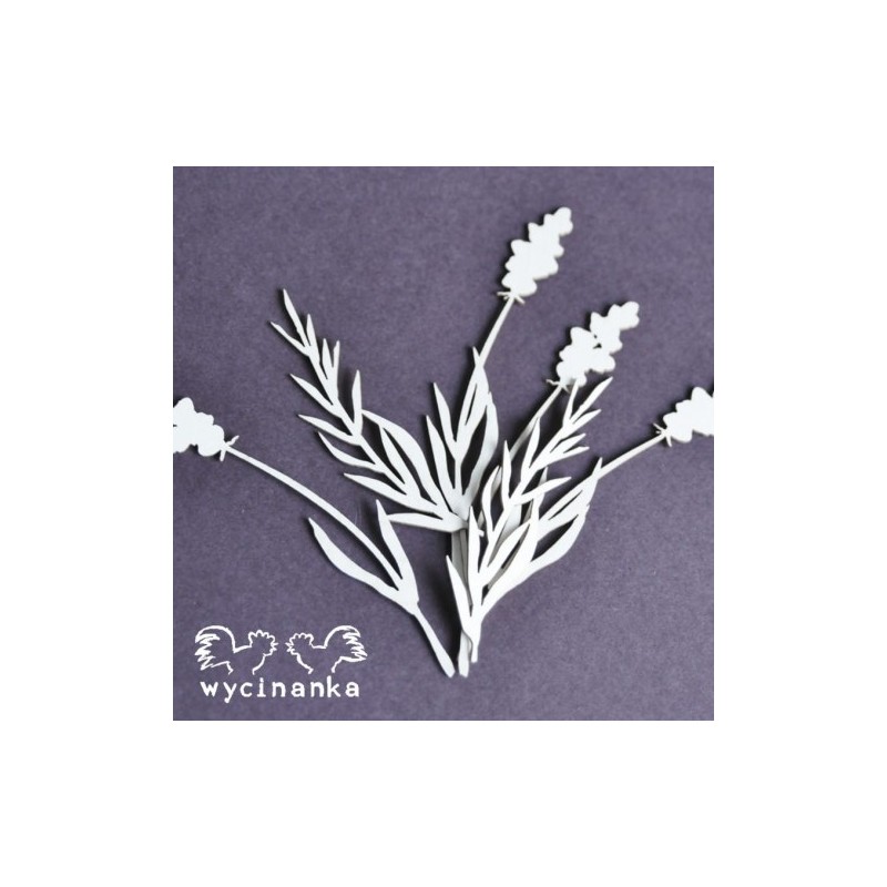 Kartoninė formelė "Gėlės ir žolynai" nr. 13