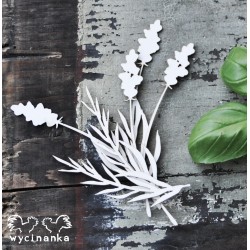 Kartoninė formelė "Gėlės ir žolynai" nr. 13
