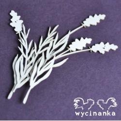 Kartoninė formelė "Gėlės ir žolynai" nr. 13