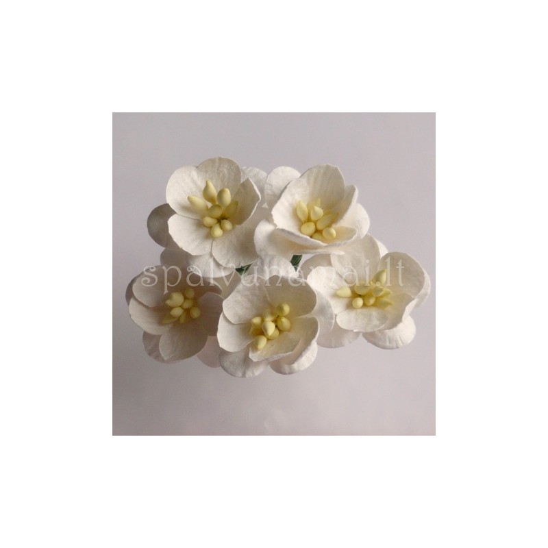 Popierinės gėlės "Cherry Blossom Ivory'', 5vnt.
