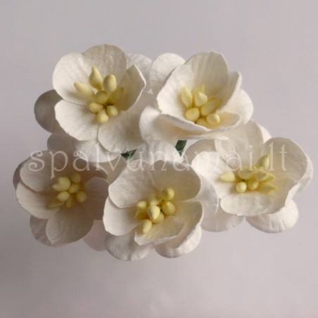 Popierinės gėlės "Cherry Blossom Ivory'', 5vnt.