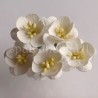 Popierinės gėlės "Cherry Blossom Ivory'', 5vnt.