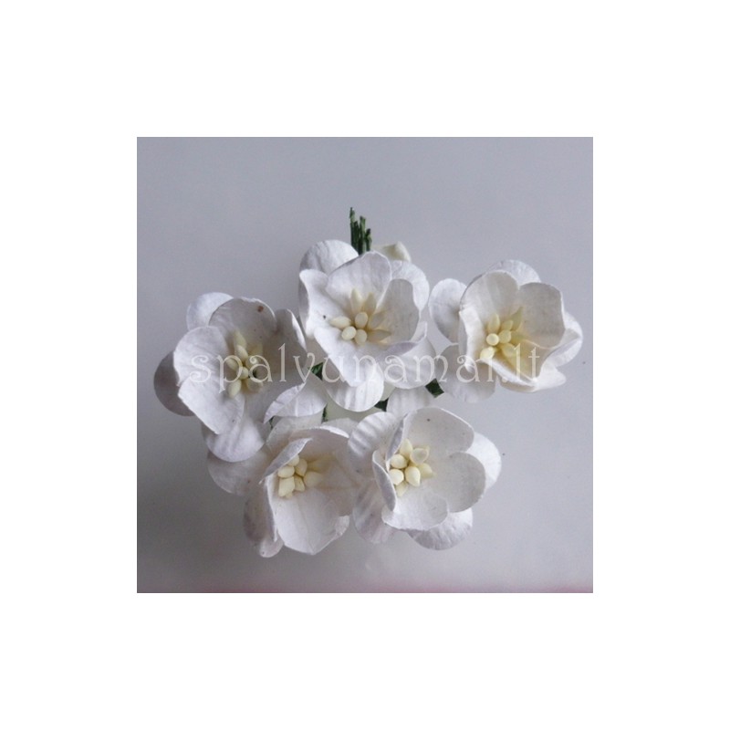 Popierinės gėlės "Cherry Blossom White'', 5vnt.