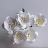 Popierinės gėlės "Cherry Blossom White'', 5vnt.