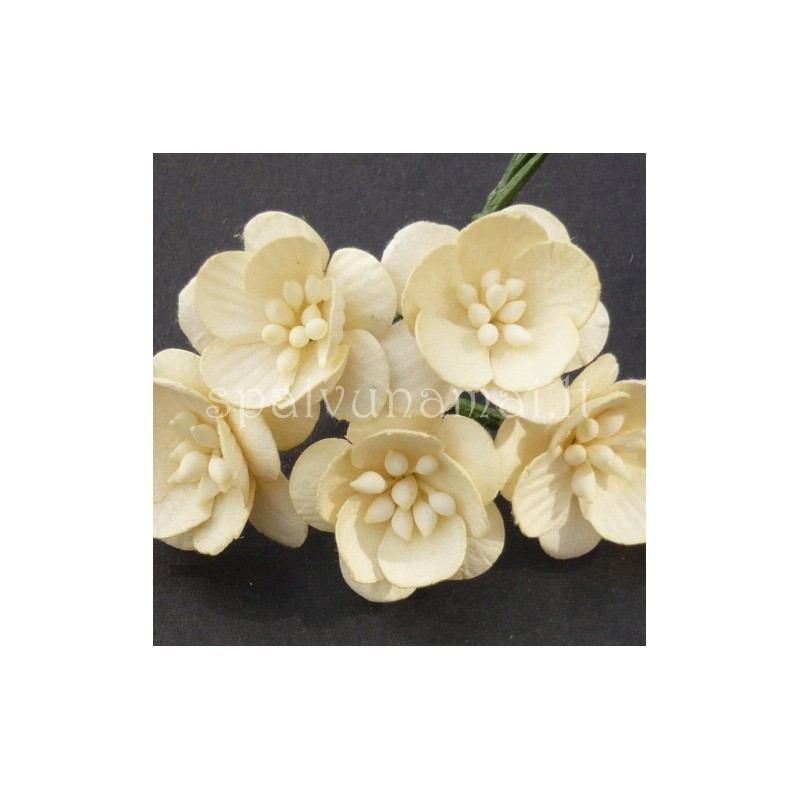 Popierinės gėlės "Cherry Blossom Cream'', 5vnt.
