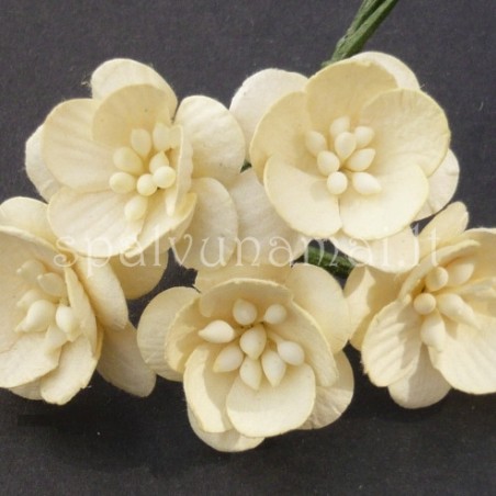 Popierinės gėlės "Cherry Blossom Cream'', 5vnt.