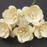 Popierinės gėlės "Cherry Blossom Cream'', 5vnt.