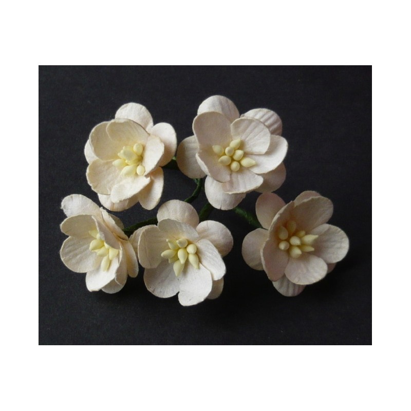 Popierinės gėlės "Cherry Blossom Deep Ivory'', 5vnt.