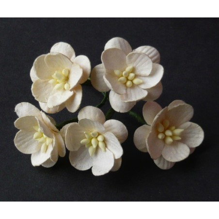 Popierinės gėlės "Cherry Blossom Deep Ivory'', 5vnt.
