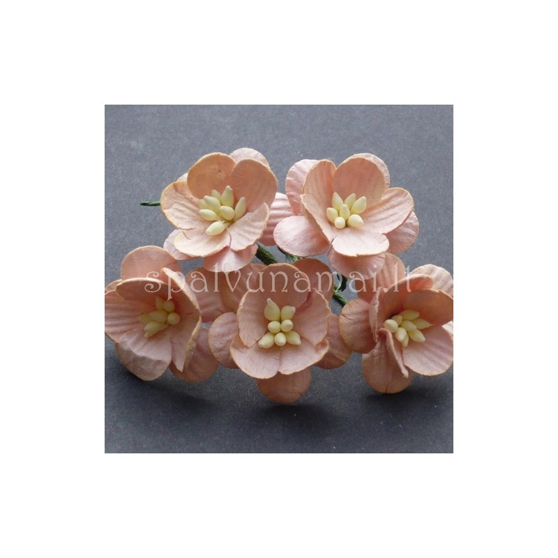 Popierinės gėlės "Cherry Blossom Peach'', 5vnt.