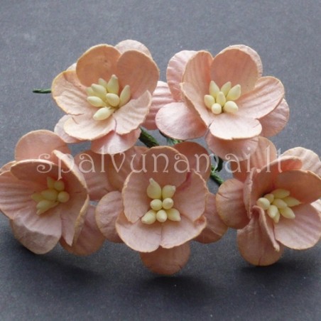 Popierinės gėlės "Cherry Blossom Peach'', 5vnt.