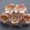 Popierinės gėlės "Cherry Blossom Peach'', 5vnt.