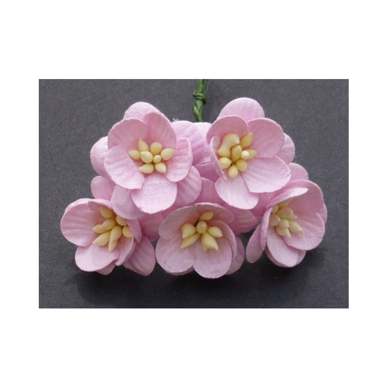 Popierinės gėlės "Cherry Blossom Pink'', 5vnt.