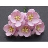 Popierinės gėlės "Cherry Blossom Pink'', 5vnt.