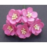 Popierinės gėlės "Cherry Blossom Deep Pink'', 5vnt.