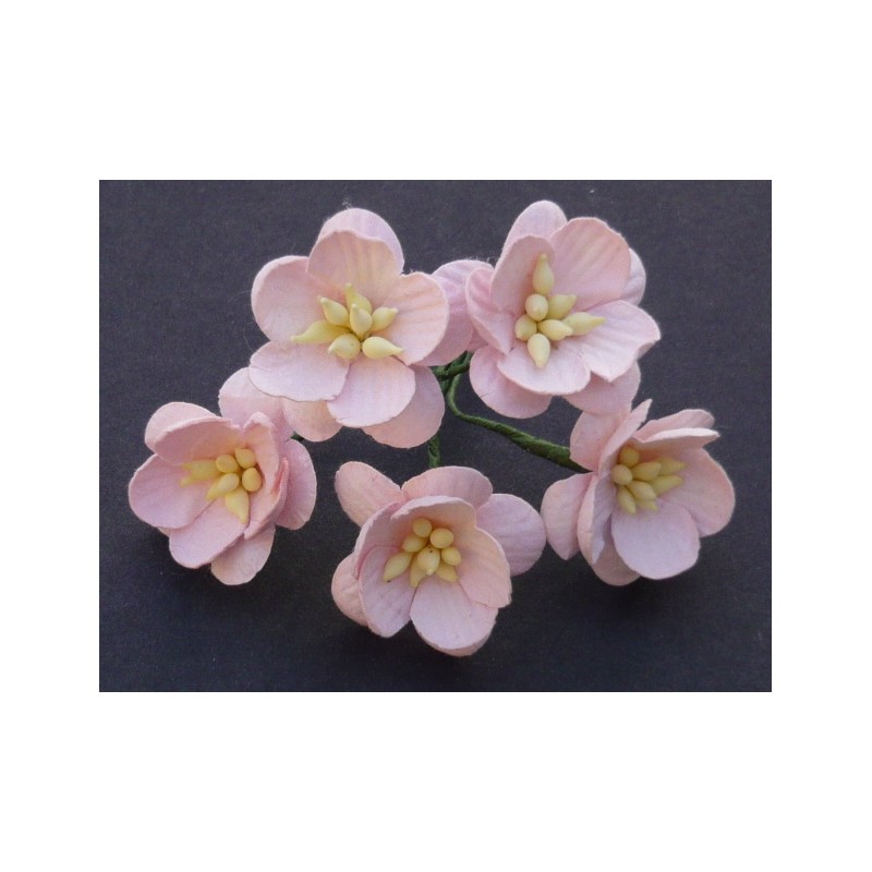 Popierinės gėlės "Cherry Blossom Light Pink'', 5vnt.