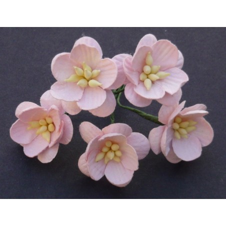 Popierinės gėlės "Cherry Blossom Light Pink'', 5vnt.