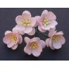 Popierinės gėlės "Cherry Blossom Light Pink'', 5vnt.