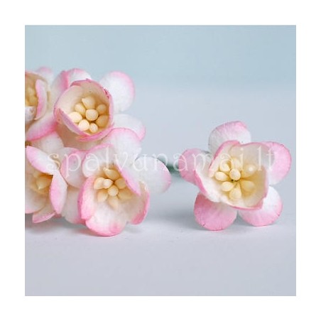 Popierinės gėlės "Cherry Blossom Pink/Ivory'', 5vnt.