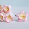 Popierinės gėlės "Cherry Blossom Pink/Ivory'', 5vnt.