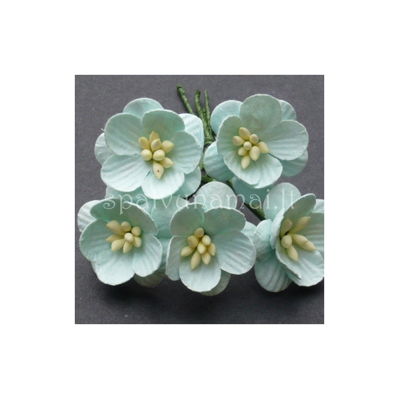 Popierinės gėlės "Cherry Blossom Mint'', 5vnt.