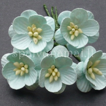 Popierinės gėlės "Cherry Blossom Mint'', 5vnt.