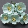 Popierinės gėlės "Cherry Blossom Mint'', 5vnt.