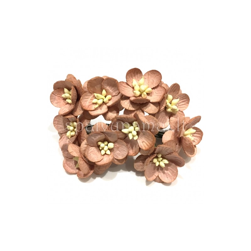 Popierinės gėlės "Cherry Blossom Brown'', 5vnt.