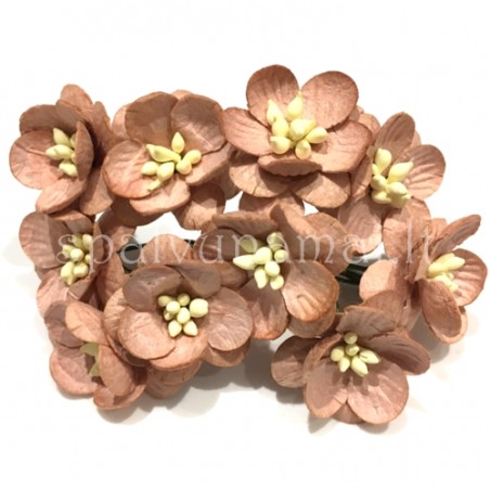 Popierinės gėlės "Cherry Blossom Brown'', 5vnt.