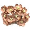Popierinės gėlės "Cherry Blossom Brown'', 5vnt.