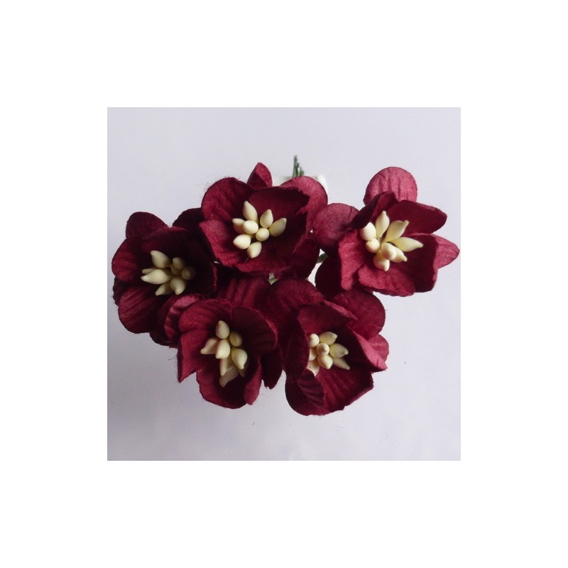 Popierinės gėlės "Cherry Blossom Burgundy'', 5vnt.