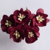 Popierinės gėlės "Cherry Blossom Burgundy'', 5vnt.