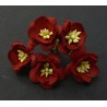 Popierinės gėlės "Cherry Blossom Deep Red'', 5vnt.