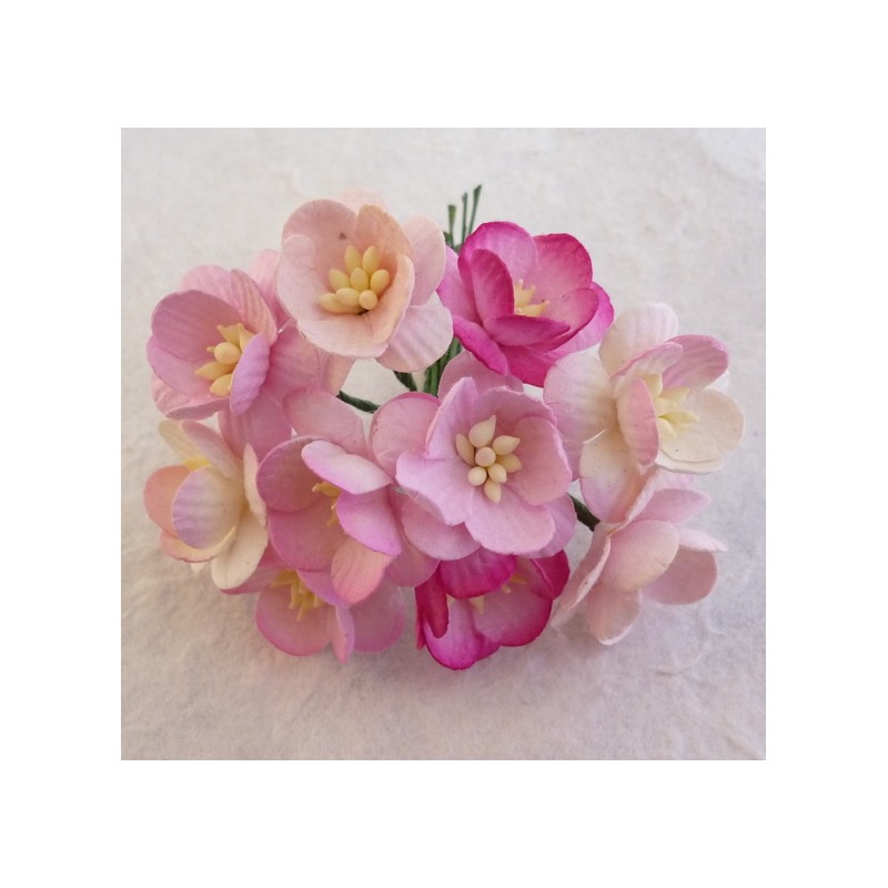 Popierinės gėlės "Cherry Blossom Pink mix'', 5vnt.