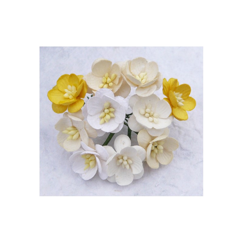 Popierinės gėlės "Cherry Blossom White/Cream mix'', 5vnt.