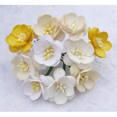Popierinės gėlės "Cherry Blossom White/Cream mix'', 5vnt.