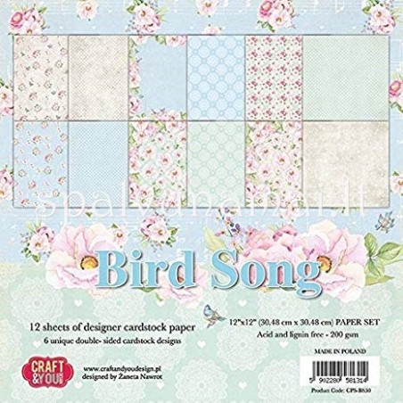 Popieriaus rinkinys "Bird Song", 15x15 cm
