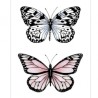 Akriliniai antspaudukai "Butterflies 2"