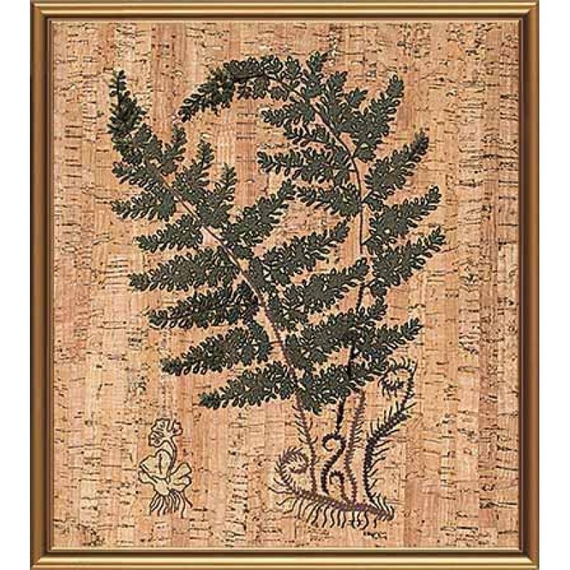 KP3005 Rinkinys siuvinėjimui "Fern"