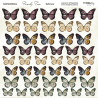 Popierius ScrapMir "Family Tree: Butterflies" 20x20 cm