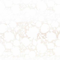 Popierius ScrapMir "Peaches & Cream: butterflies" 20x20 cm