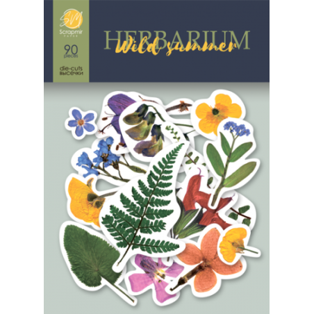 Iškirstų paveikslėlių rinkinys "Herbarium Wild summer", 90 vnt.