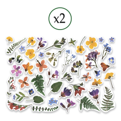 Iškirstų paveikslėlių rinkinys "Herbarium Wild summer", 90 vnt.