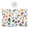 Iškirstų paveikslėlių rinkinys "Herbarium Wild summer", 90 vnt.