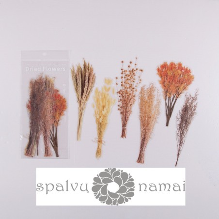 Lipdukai "Dried Flowers 3" 6 vnt